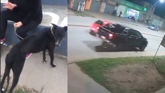 El momento se viralizó en las redes