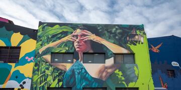 Los murales de la Municipalidad de Córdoba. (Municipalidad de Córdoba)