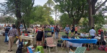 Segunda Feria Rafaela por la Agroecología, realizada el 6 de noviembre de 2022.