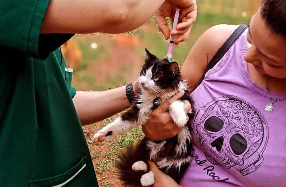 Eldorado: realizaron un operativo de Zoonosis en el barrio Kraus
