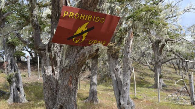 Prevención de fuego en TDF