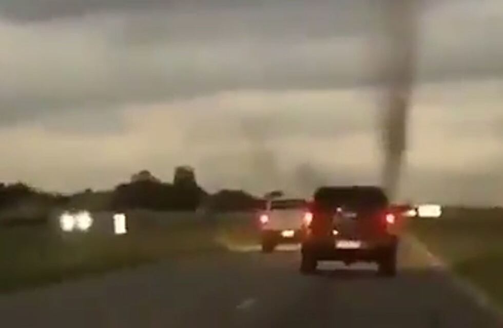 Video: registraron un “tornado” de mosquitos en una ruta rumbo a Pinamar