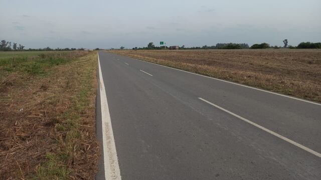 La Municipalidad de Rafaela debió limpiar las banquinas de la ruta 34