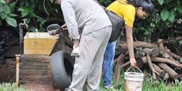 Aumentan los casos de dengue en Misiones: instan a la detección temprana y prevención.