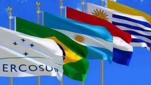 El presidente Alberto Fernández encabeza en Puerto Iguazú la 62° reunión del Mercosur.