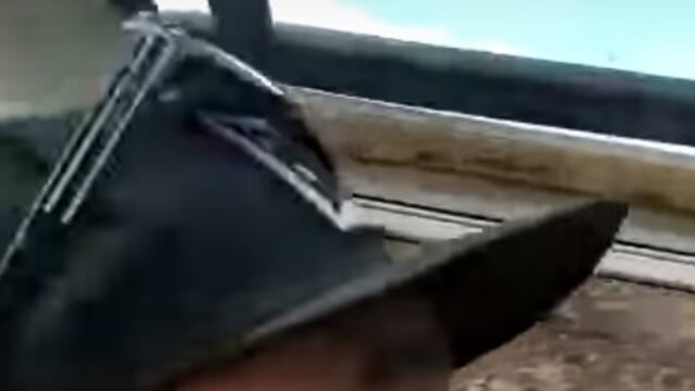 El protagonista del video viral del momento no esperaba lo que terminó sucediendo.