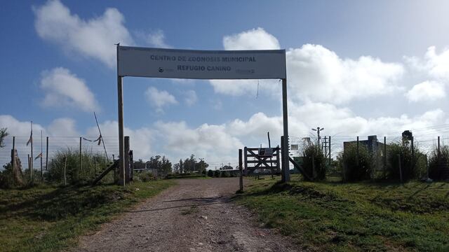 Centro de zoonosis, Tres Arroyos