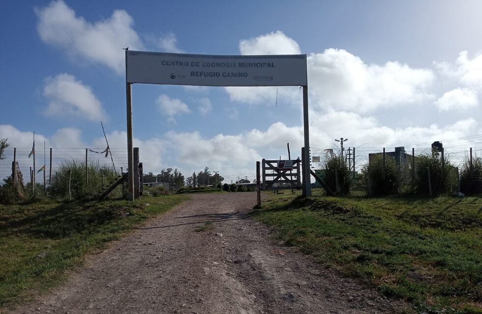 Centro de Zoonosis: se vacunaron 4.500 mascotas y se realizaron 1.655 castraciones durante el año