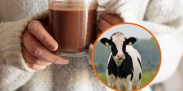 El polémico chocolate caliente de las redes sociales.