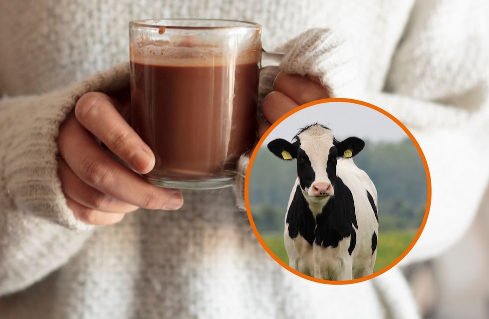 Cuál es el país de Sudamérica donde se toma chocolate caliente hecho con ojo de vaca
