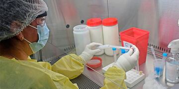 El Instituto Malbrán fue el encargado de analizar las muestras.