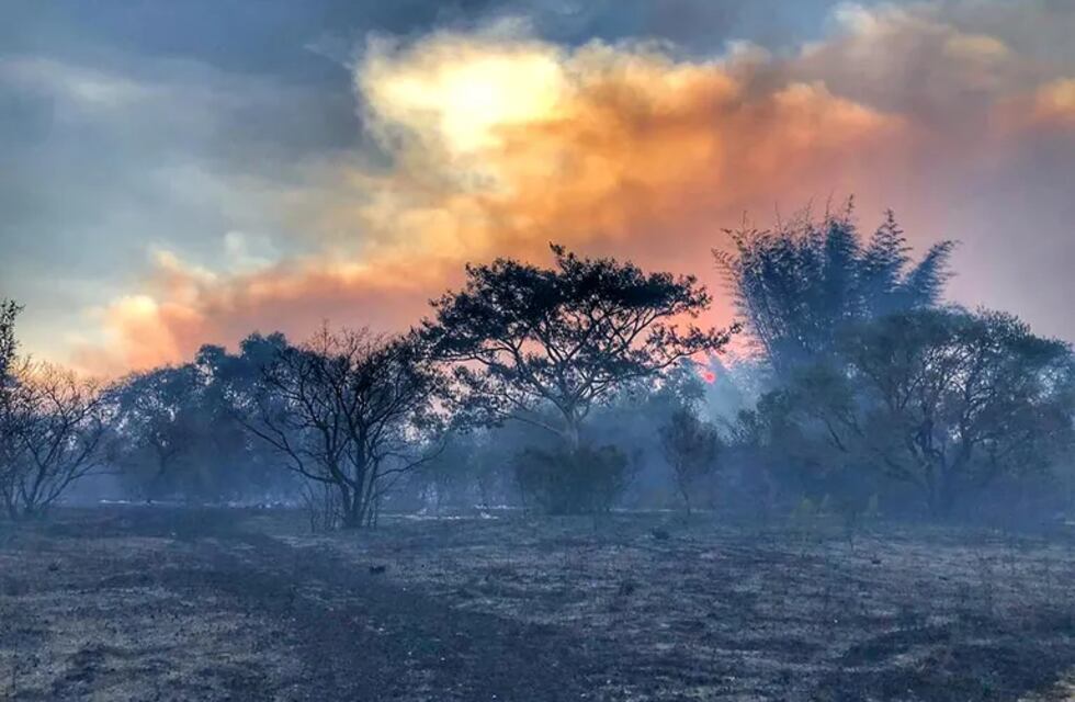 Incendios en Corrientes: se detectaron focos activos en los Esteros del Iberá