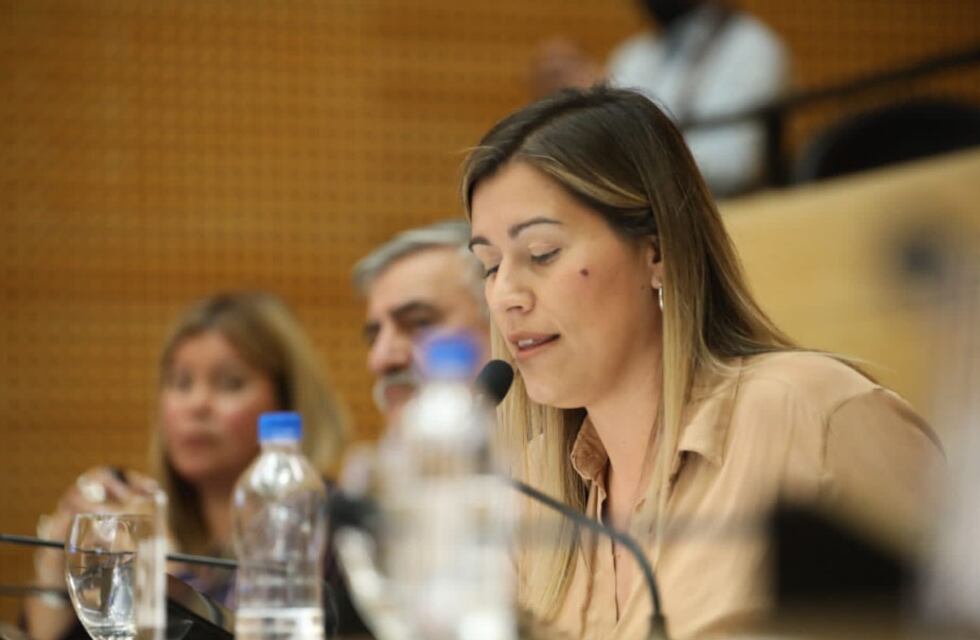 Una legisladora del PJ criticó fuertemente a Juan Schiaretti: “Está destruyendo un proyecto de toda una vida”