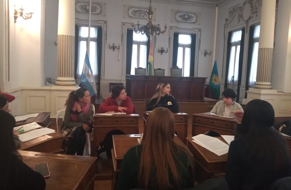 Parlamento Juvenil del Mercosur: debate, propuestas y dos elegidas para representar a Tres Arroyos