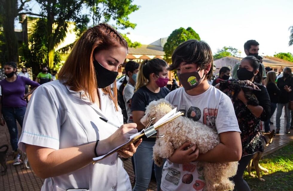 Eldorado: se llevará adelante operativo de zoonosis