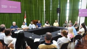 Reunión por casos sospechosos de encefalitis equina en Rafaela