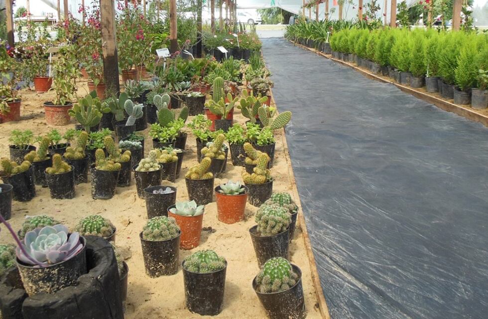 Entregan microcréditos para emprendimientos productivos