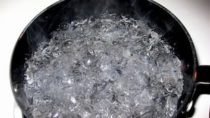 La limpieza de rejillas con agua hirviendo y limón es una práctica simple para mantener el hogar libre de malos olores y bacterias.