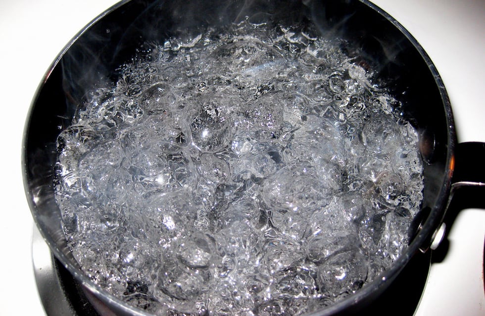 Por qué recomiendan tirar agua hirviendo con limón por las rejillas