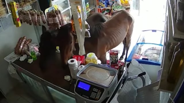 Los caballos dentro de la despensa. (Captura de video)