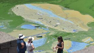 Verde intenso. Las algas o cianobacterias ya no se ven sobre la costa de Villa Carlos Paz. Ahora se observan en la zona del embudo. (Javier Cortéz)