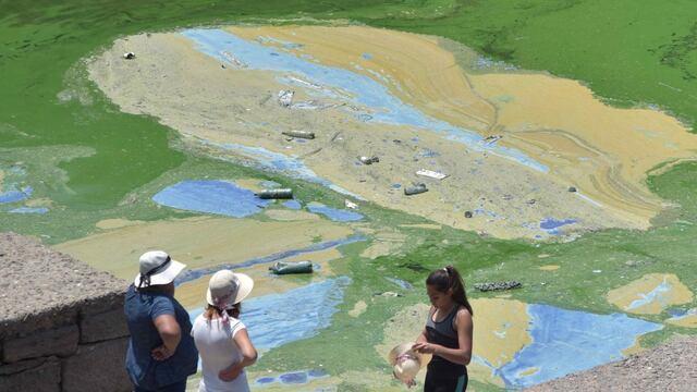 Verde intenso. Las algas o cianobacterias ya no se ven sobre la costa de Villa Carlos Paz. Ahora se observan en la zona del embudo. (Javier Cortéz)