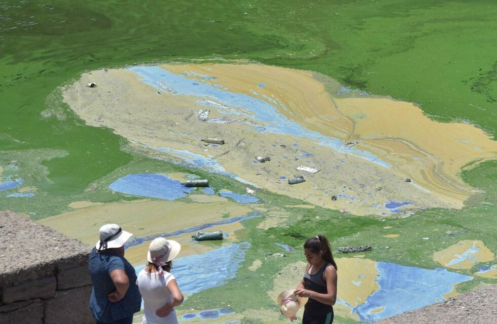 Lago San Roque: el Gobierno de la Provincia, sin protocolo de acción, arroja cianobacterias al Centro Ambiental