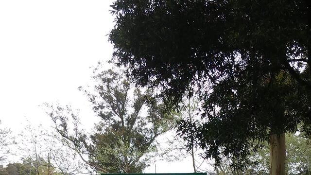 se llevará a cabo este sábado 9 a partir de las 11 de la mañana.