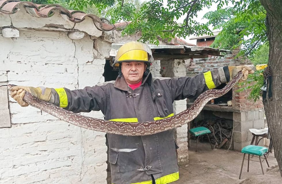 Córdoba aloja a más de 20 animales en riesgo de extinción: cuáles son y cómo preservarlos