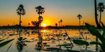 El Parque Nacional Iberá fue destacado por una revista internacional como uno de los mejores 12 lugares de la Argentina.
