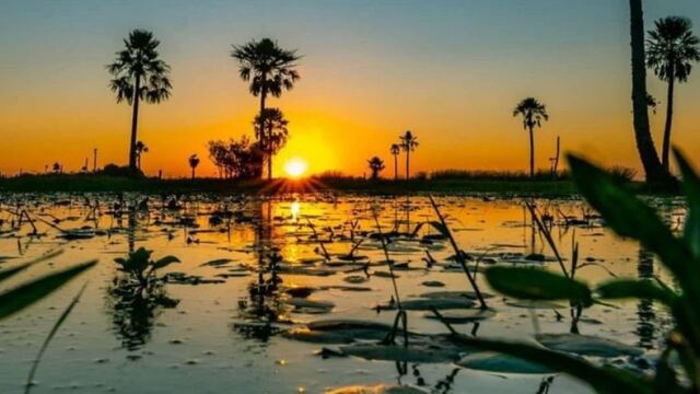 El Parque Nacional Iberá fue destacado por una revista internacional como uno de los mejores 12 lugares de la Argentina.