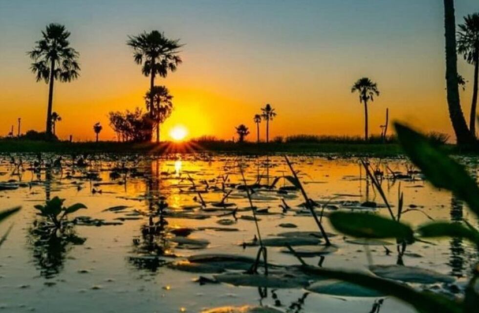 El Parque Iberá, entre los mejores destinos para visitar en Argentina según una reconocida revista internacional