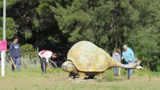 Etapa final de los trabajos sobre la plaza paleontológica