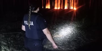 Controlaron un incendio que afectó tres hectáreas de pinar y yerbal en Corpus Christi.