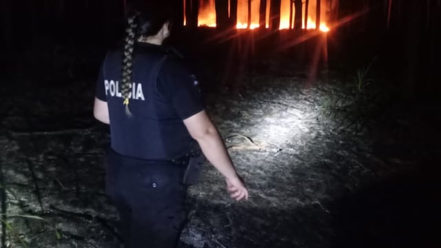 Controlaron un incendio que afectó tres hectáreas de pinar y yerbal en Corpus Christi.