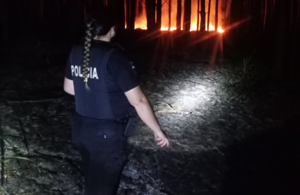 Controlaron un incendio que afectó tres hectáreas de pinar y yerbal en Corpus Christi
