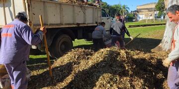 Acciones ambientales en la Semana del Ambiente
