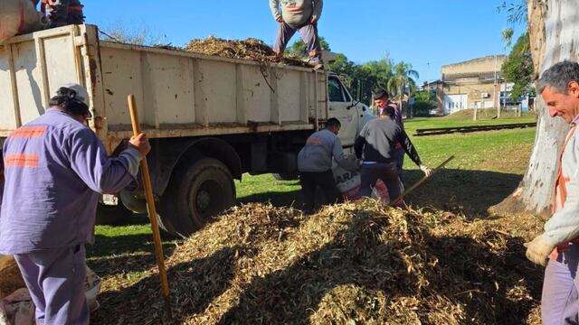 Acciones ambientales en la Semana del Ambiente
