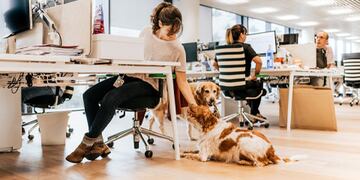 Mascotas en el trabajo: la nueva tendencia que se impone