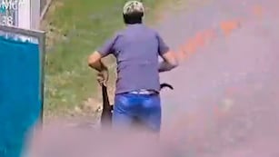 Denunciaron que el falso veterinario volvió a trabajar en una veterinaria.
