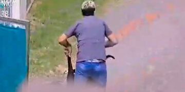 Denunciaron que el falso veterinario volvió a trabajar en una veterinaria.