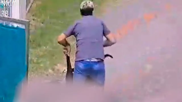 Denunciaron que el falso veterinario volvió a trabajar en una veterinaria.