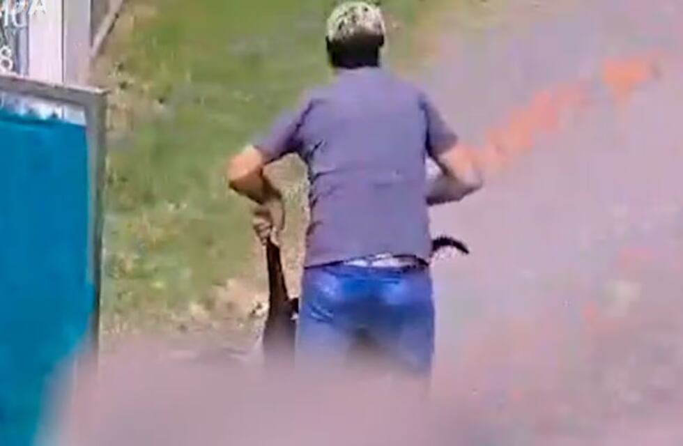 Habló el falso veterinario de Córdoba, acusado de matar a un perro y volver a ejercer la profesión