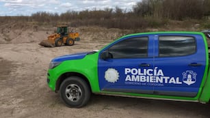 Patrulla Ambiental procedió al resguardo del animal en Córdoba,