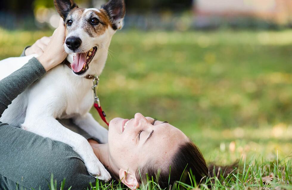Continúa la campaña de Vacunación Antirrábica Gratuita en agosto en nuestra ciudad