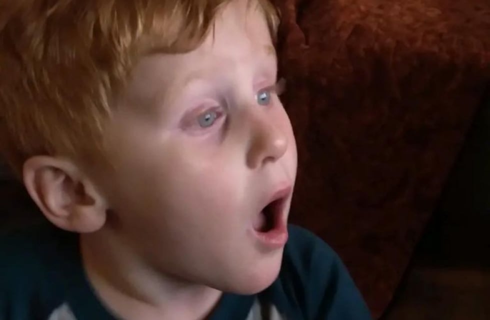 Caso Ryker Webb: nene que se perdió en un bosque se vuelve viral al relatar la historia