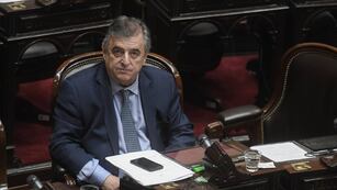 El jefe del bloque UCR. (Foto: Federico López Claro)