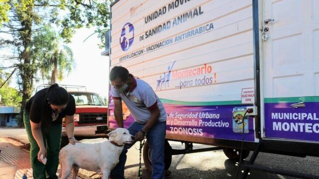 Zoonosis Municipal esterilizó a 1300 mascotas en el municipio de Montercalo.