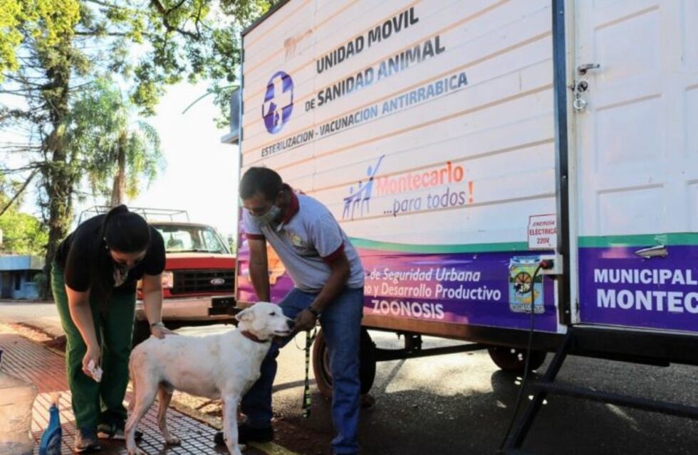 Zoonosis Municipal esterilizó a 1300 mascotas en el municipio de Montercalo