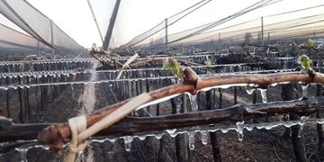 La Dirección de Contingencias Climáticas anticipó que el sábado ingresará un frente frio que provocará un marcado descenso en la temperatura durante la madrugada del domingo. Gobierno de Mendoza